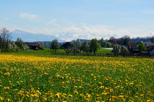 Freiamt, Germany