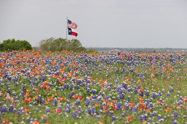 Georgetown, Texas, USA