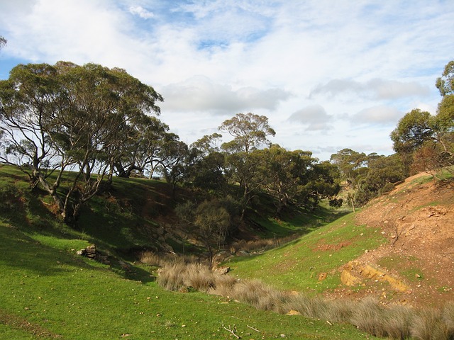 Uralla, Australia