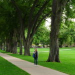 The Oval, Fort Collins, Colorado, USA