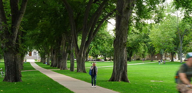 The Oval, Fort Collins, Colorado, USA